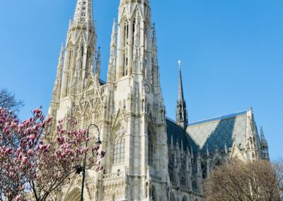 Umgebung/Votivkirche